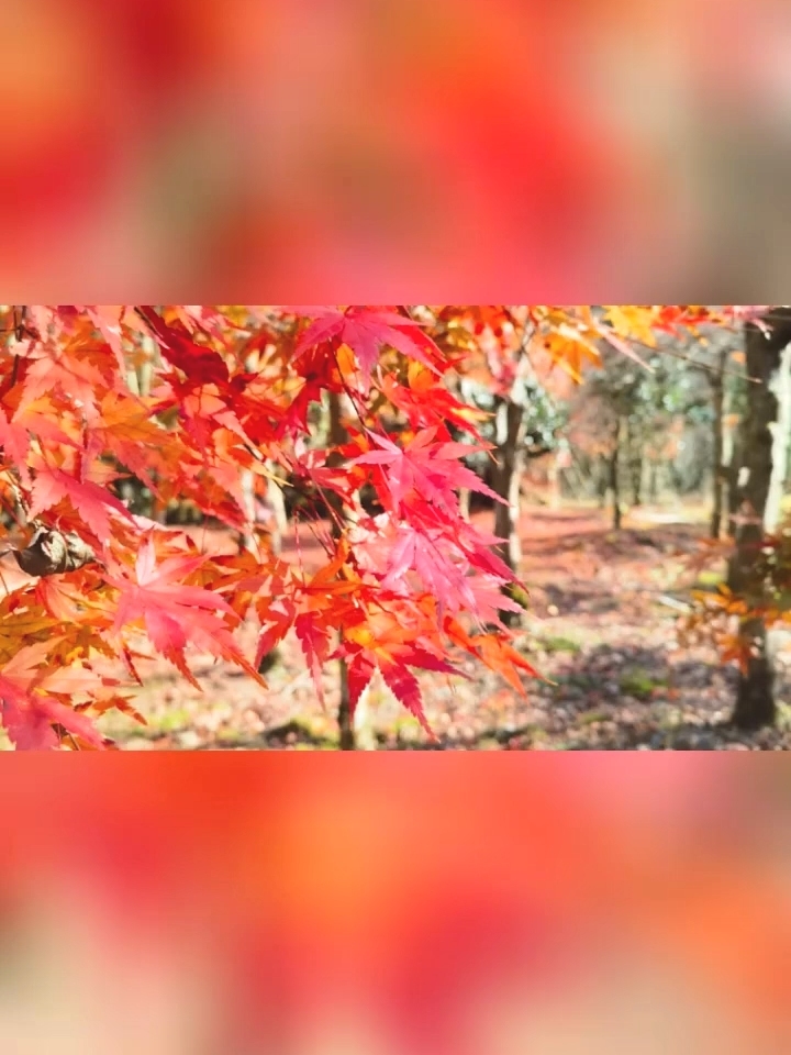 冬天为什么眼睛要戴墨镜,冬天为什么眼睛要戴墨镜呢