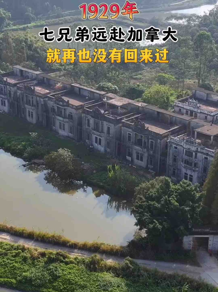民国时期1929年,广东开平七兄弟远赴加拿大捞金,时隔百年,至今没有回来过。