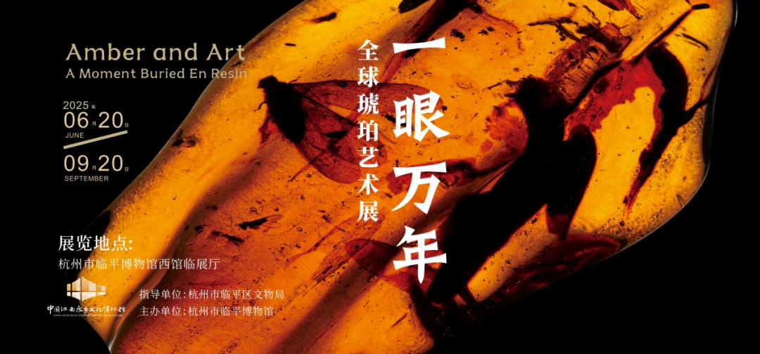 7月杭州艺术展| 躲进美术馆吹空调看展,今夏最chill的打卡方式~