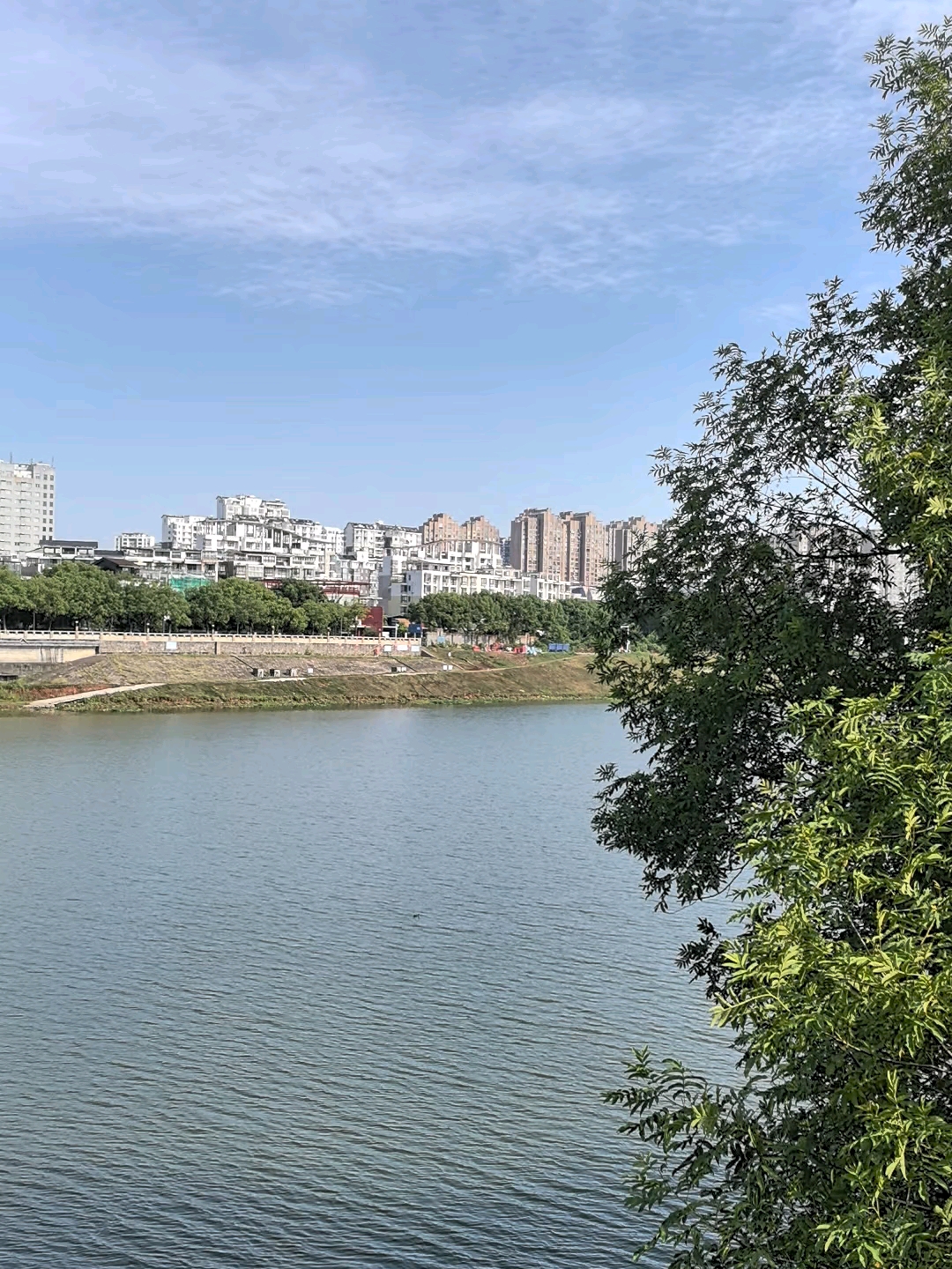 #我的家乡出圈记# 江西省上饶市信州区信江生态走廊视角观看城市风景,信江就像湖面一样平静,倒映着蓝天白云,时不时有鸟儿飞过,心情开阔而舒畅 ...