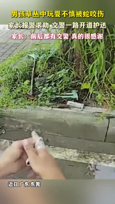 男孩草丛中玩耍不慎被蛇咬伤，家长报警求助，交警一路开道护送。