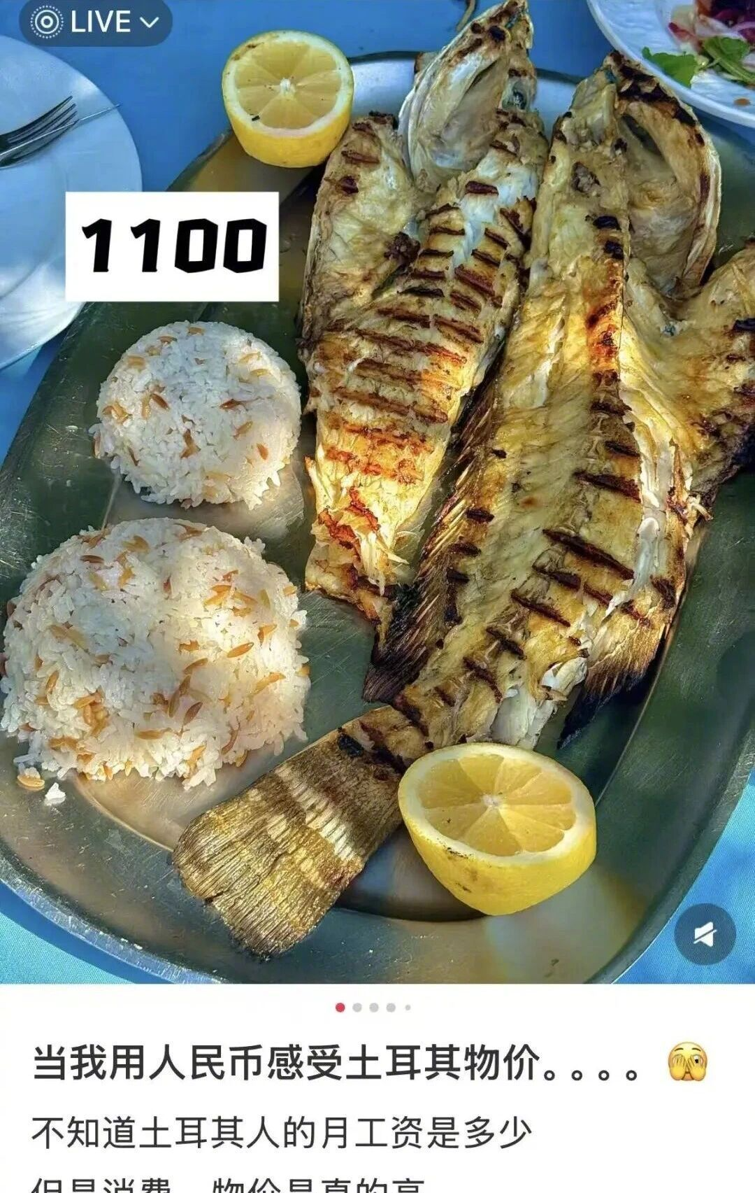 第一批免签去土耳其的已经破产了，免签后