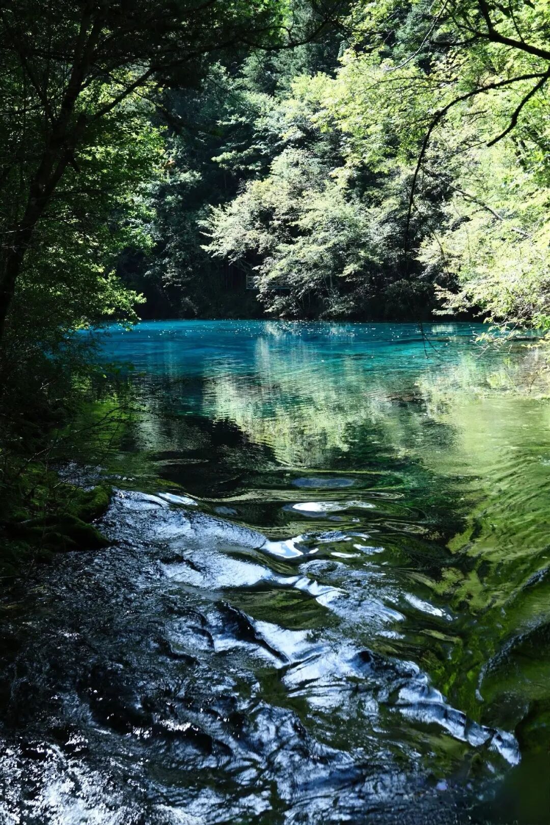 九寨情深笔墨破局——蒋云龙写生中的“山水入画之思”