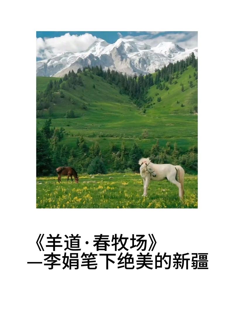 俊山　乾山写春草蓋向　12客 21天阅读打卡计划# 《羊道·春牧场》