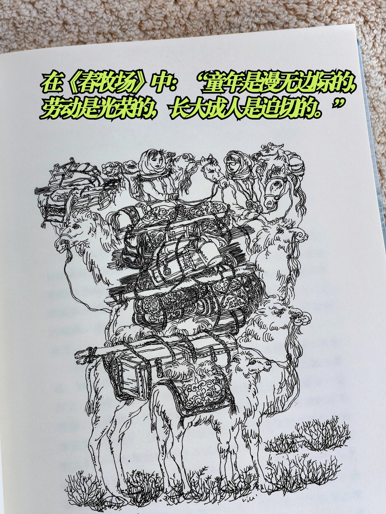 21天阅读打卡计划# 《羊道·春牧场》