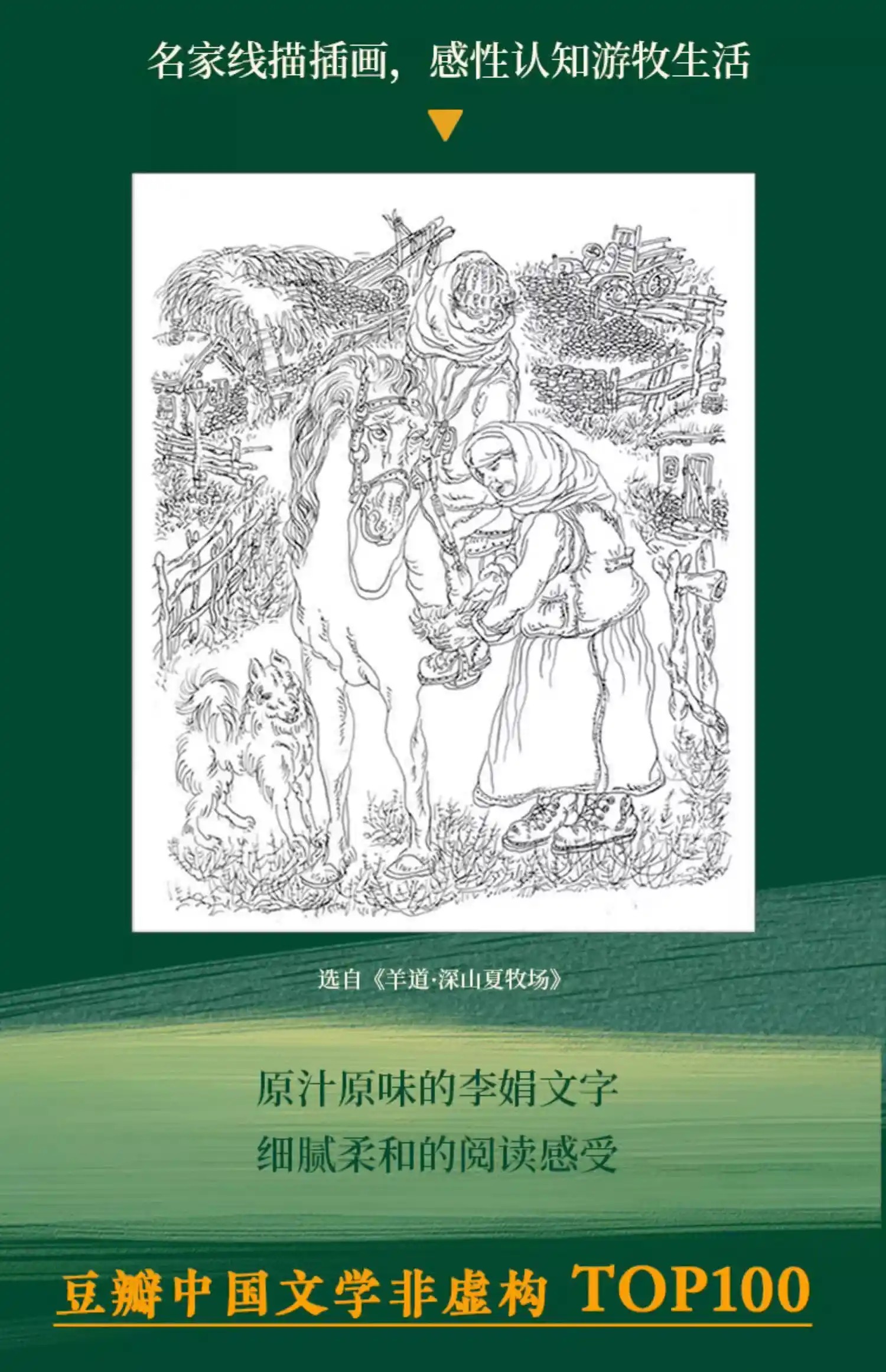 21天阅读打卡计划# 《羊道·春牧场》