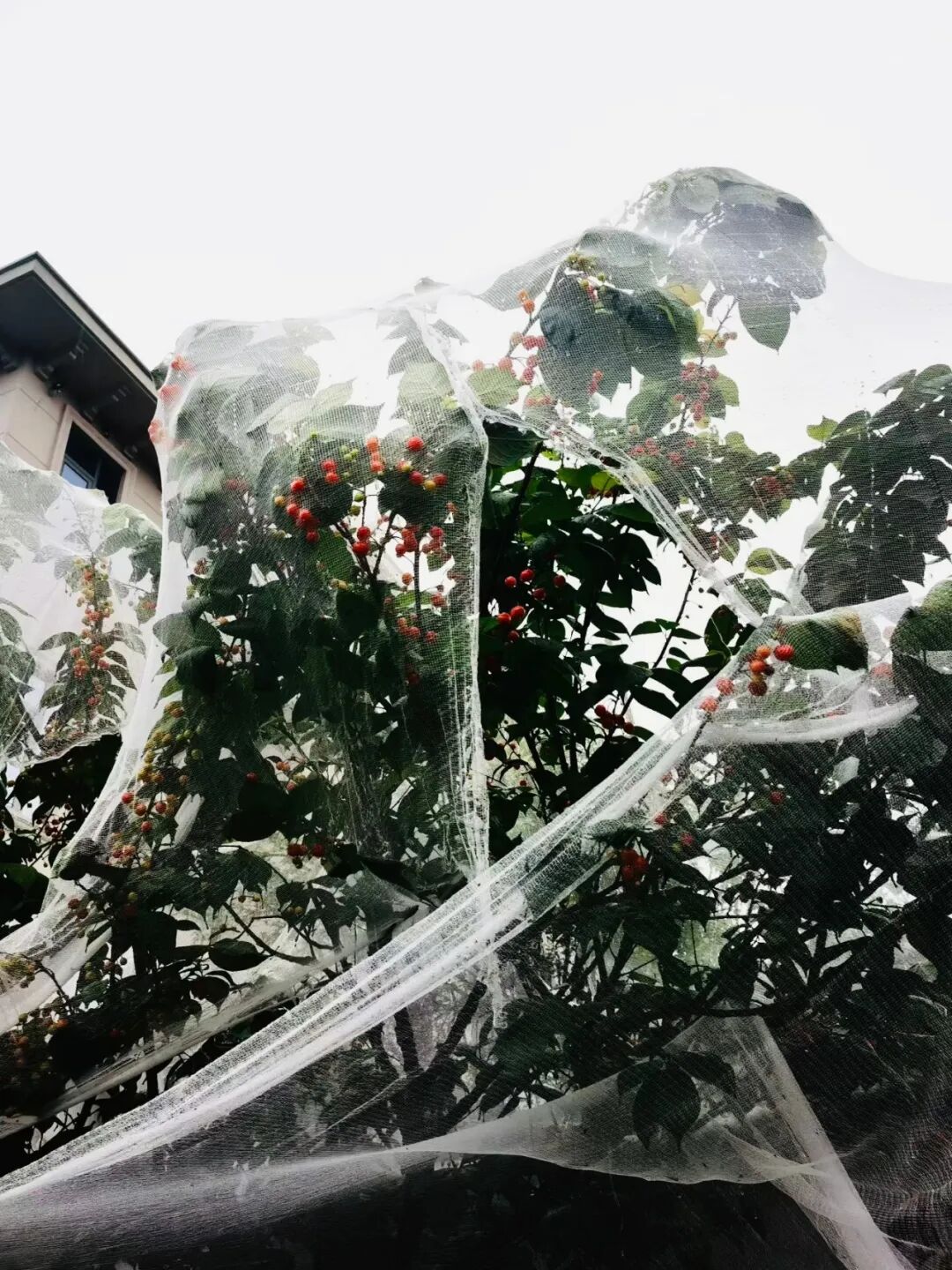 微信图片_20260423145000_1246_226.jpg