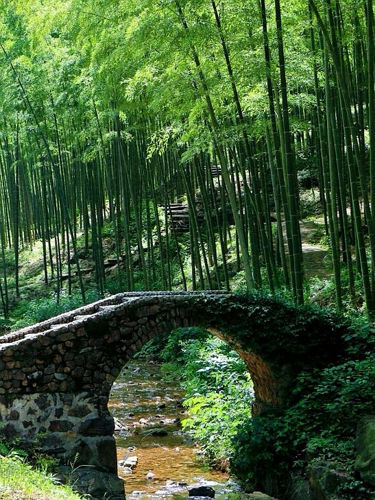 硯■曹國舅図端渓古硯 檀木箱付 萬戸管弦歌盛世 老坑 螺鈿象嵌八仙曹国舅 骨董■ 多事始知田舍好——宜兴寻访苏东坡之四