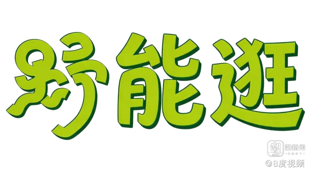 “戏水王国”桐庐真能野|2026桐庐夏日全域旅游季正式官宣!野趣“包”在我身上 “戏水王国”桐庐真能野|2026桐庐夏日全域旅游季正式官宣!野趣“包”在我身上