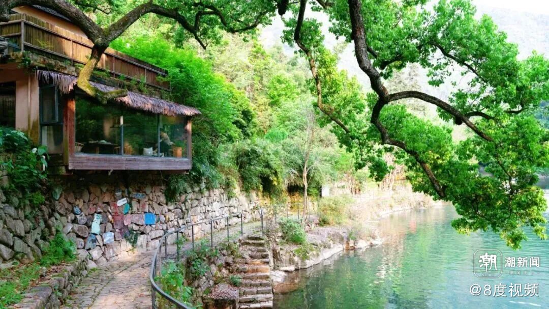 “戏水王国”桐庐真能野|2026桐庐夏日全域旅游季正式官宣!野趣“包”在我身上 “戏水王国”桐庐真能野|2026桐庐夏日全域旅游季正式官宣!野趣“包”在我身上