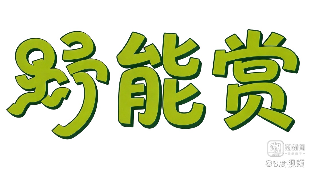“戏水王国”桐庐真能野|2026桐庐夏日全域旅游季正式官宣!野趣“包”在我身上 “戏水王国”桐庐真能野|2026桐庐夏日全域旅游季正式官宣!野趣“包”在我身上