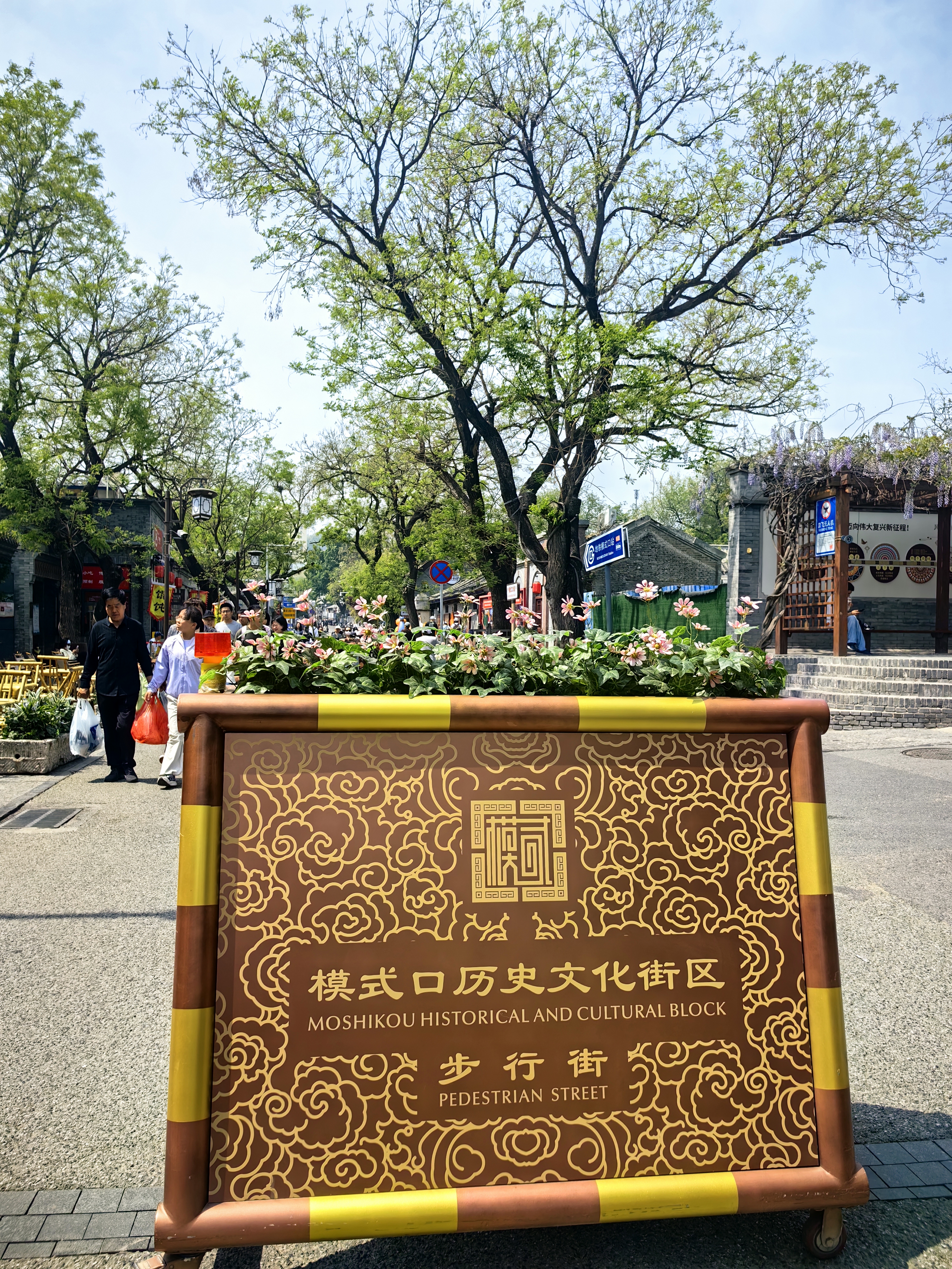 祥子在哪儿偷的骆驼？